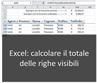 Excel: come calcolare la somma di un elenco di voci considerando solo le righe visibili Excel: come calcolare la somma di un elenco di voci considerando solo le righe visibili