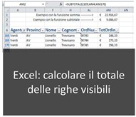 Excel: come calcolare la somma di un elenco di voci considerando solo le righe visibili