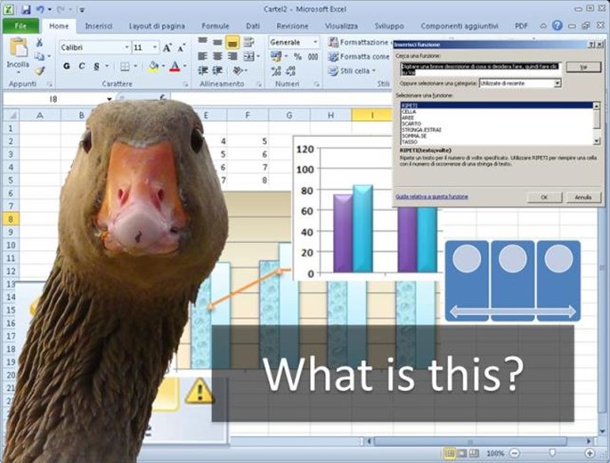 01 Excel What Is It 01 Excel What Is It